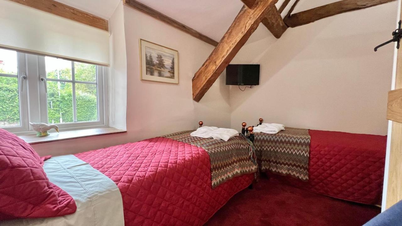 Cosy Cottage Уелингтън Екстериор снимка